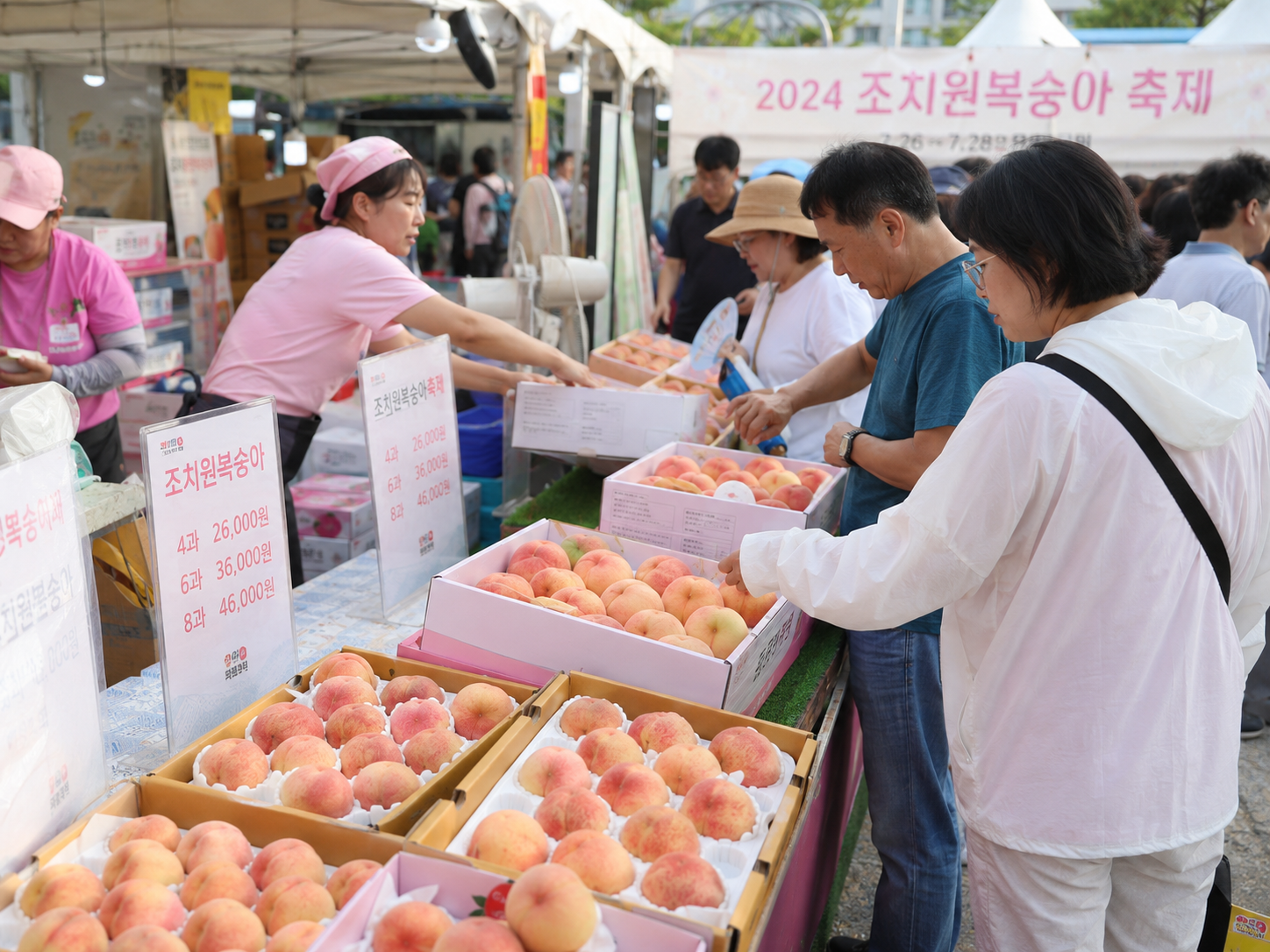 세종 조치원복숭아축제 2026 일정·주차·놀거리 총정리|피치비어나잇·물놀이·복숭아 판매까지