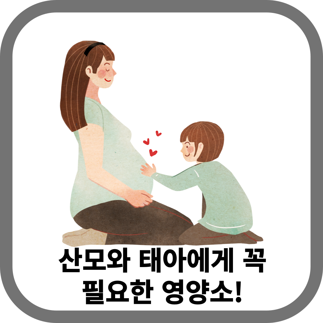 산모와 태아에게 꼭 필요한 영양소 안내