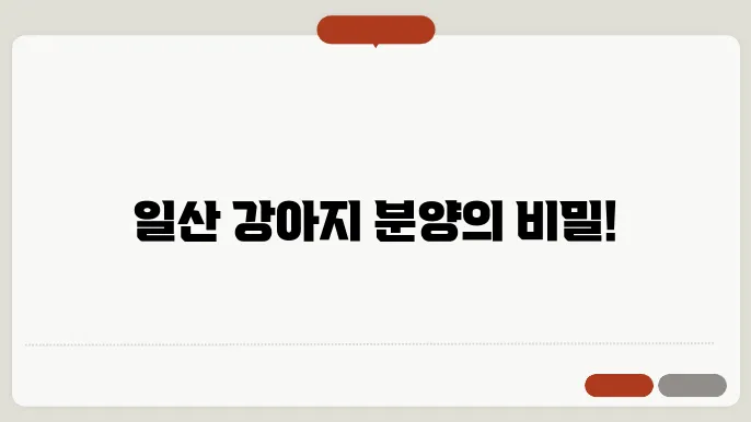 신뢰할 수 있는 강아지분양