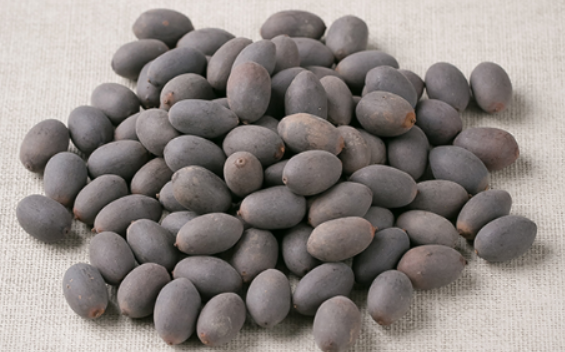 연꽃 씨앗 발효 소스 만들기 사진