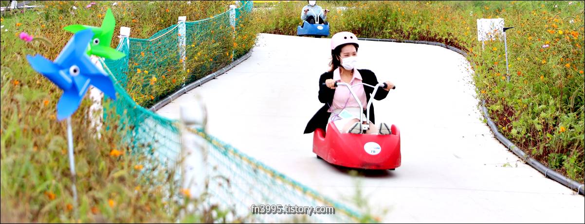 알펜시아 리조트