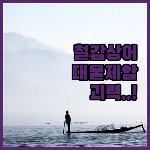 벡코 철갑상어 낚시대 내돈내산 사용 ..