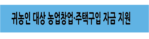 Alt 속성 문제 해결 설명 이미지