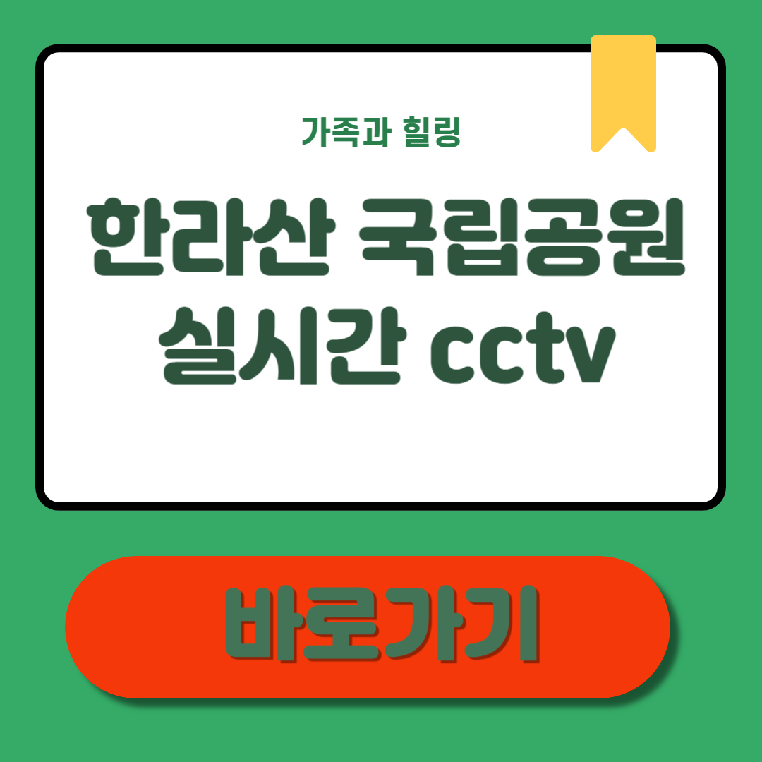 한라산 국립공원 실시간 CCTV 조회 안전 등반 준비