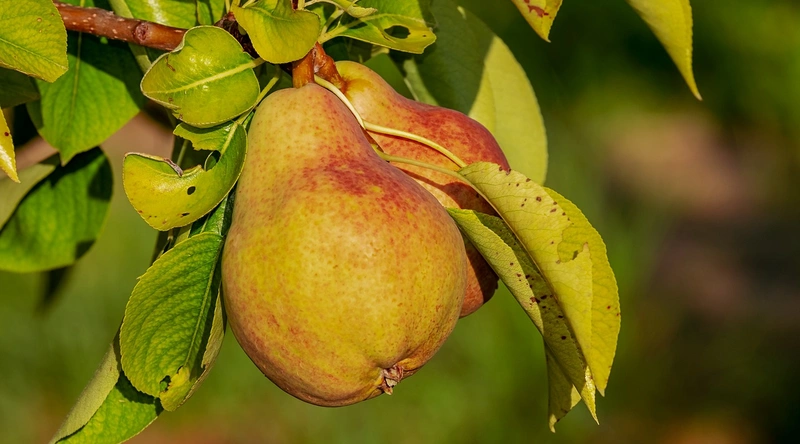 건설업계의 변화