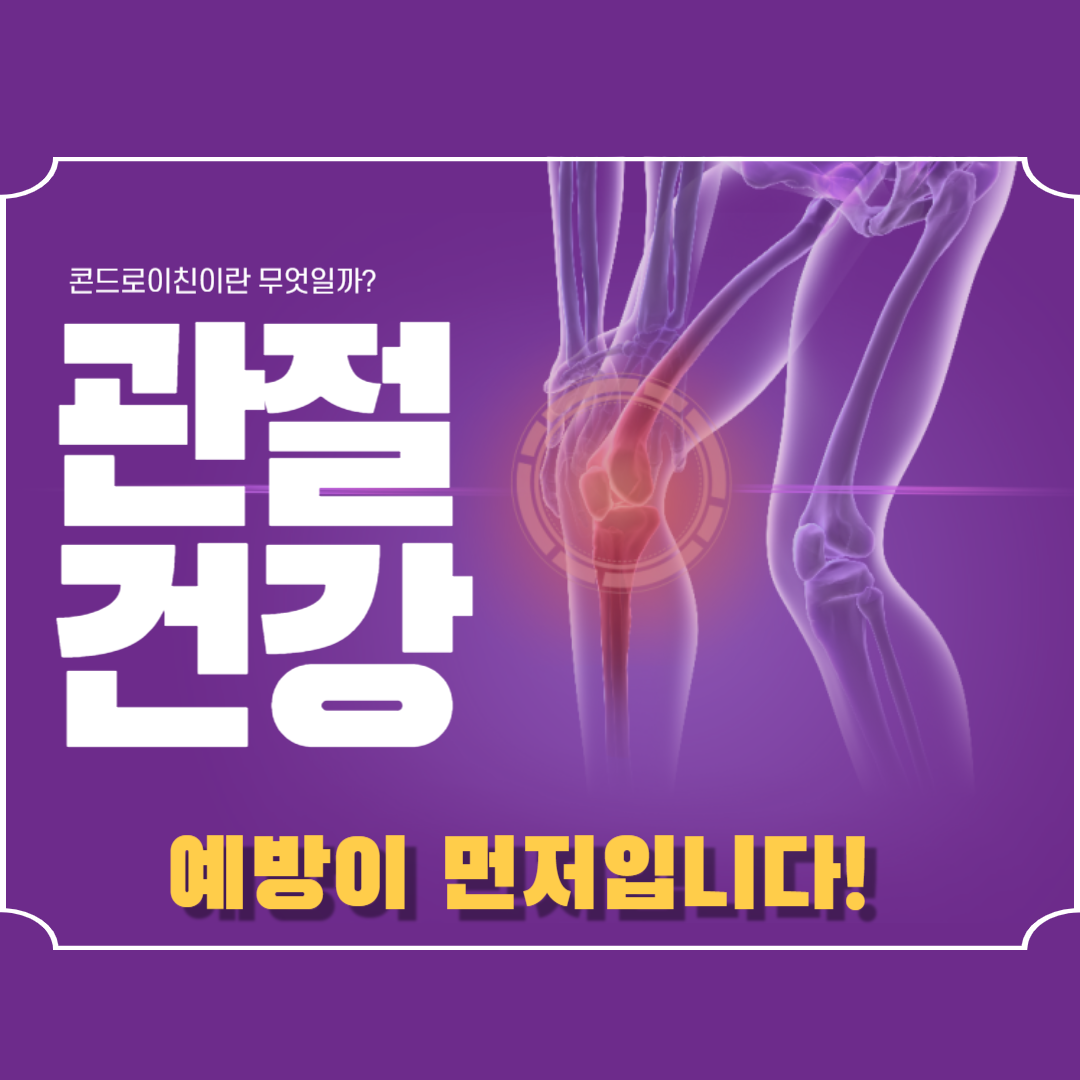 종근당건강 콘드로이친 1200: 주요 성분과 효과, 적절한 복용 방법