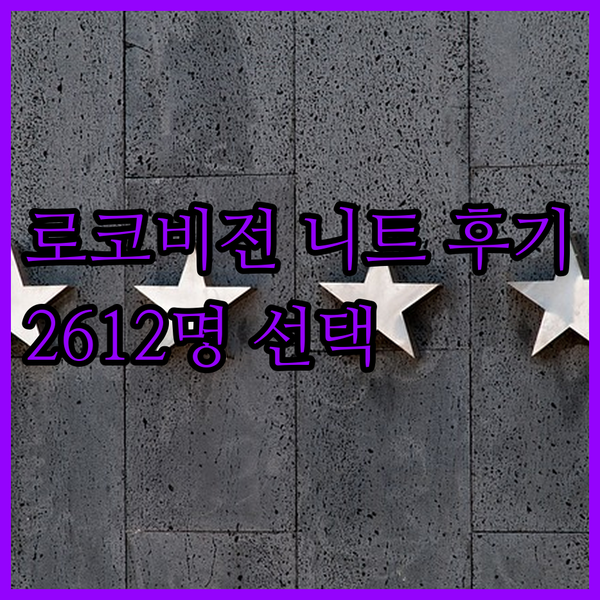 로코비전 남성 오버핏 니트 솔직 후기