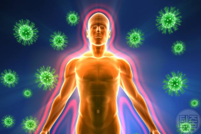 낮잠 잘 자는법 낮잠 적정시간 낮잠효과