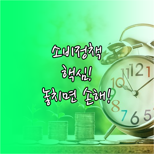 상생소비지원금 소상공인 돕는 소비 정..