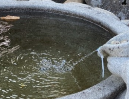 물을 보는 꿈해몽