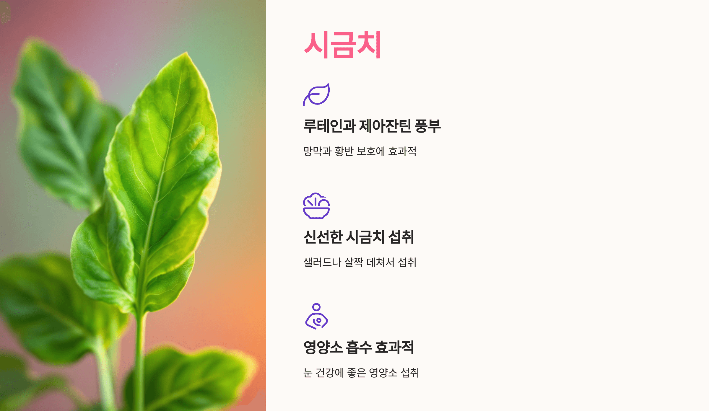 녹내장과 관련된 사진입니다.