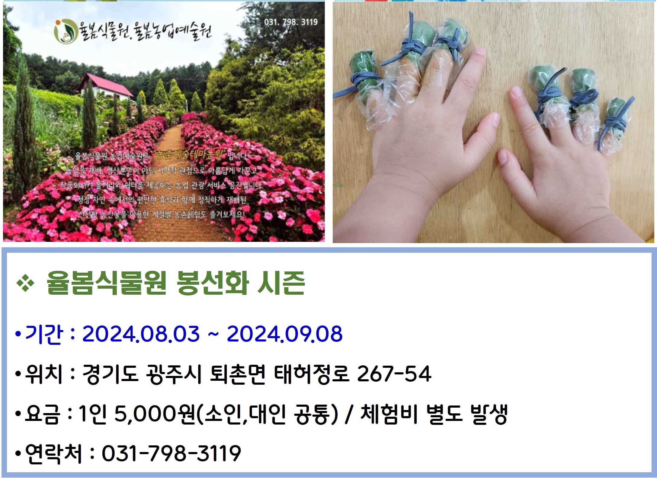 율봄식물원 봉선화 시즌