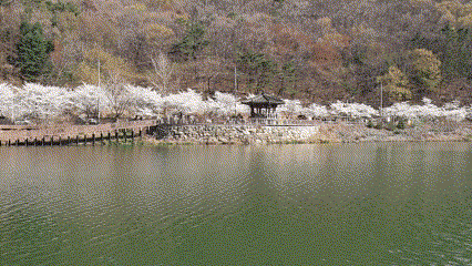 병산저수지 gif 이미지.