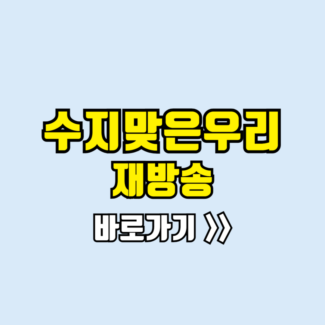 수지맞은우리 재방송