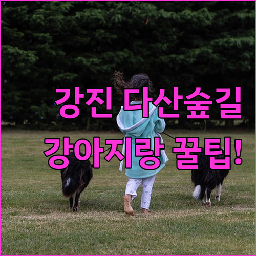 반려견과 걷기 좋은 강진 다산숲길 펫..