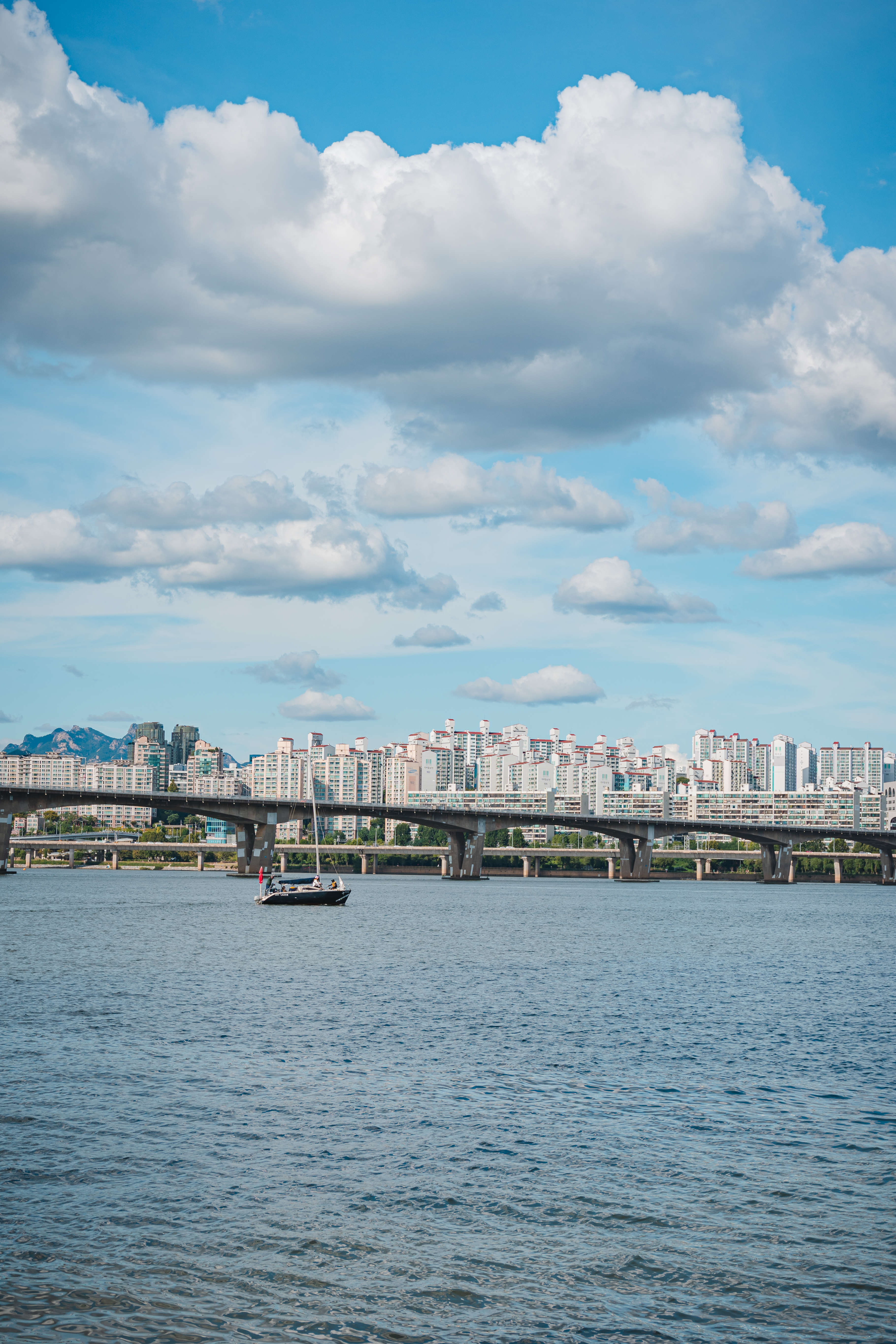 여의도 한강공원