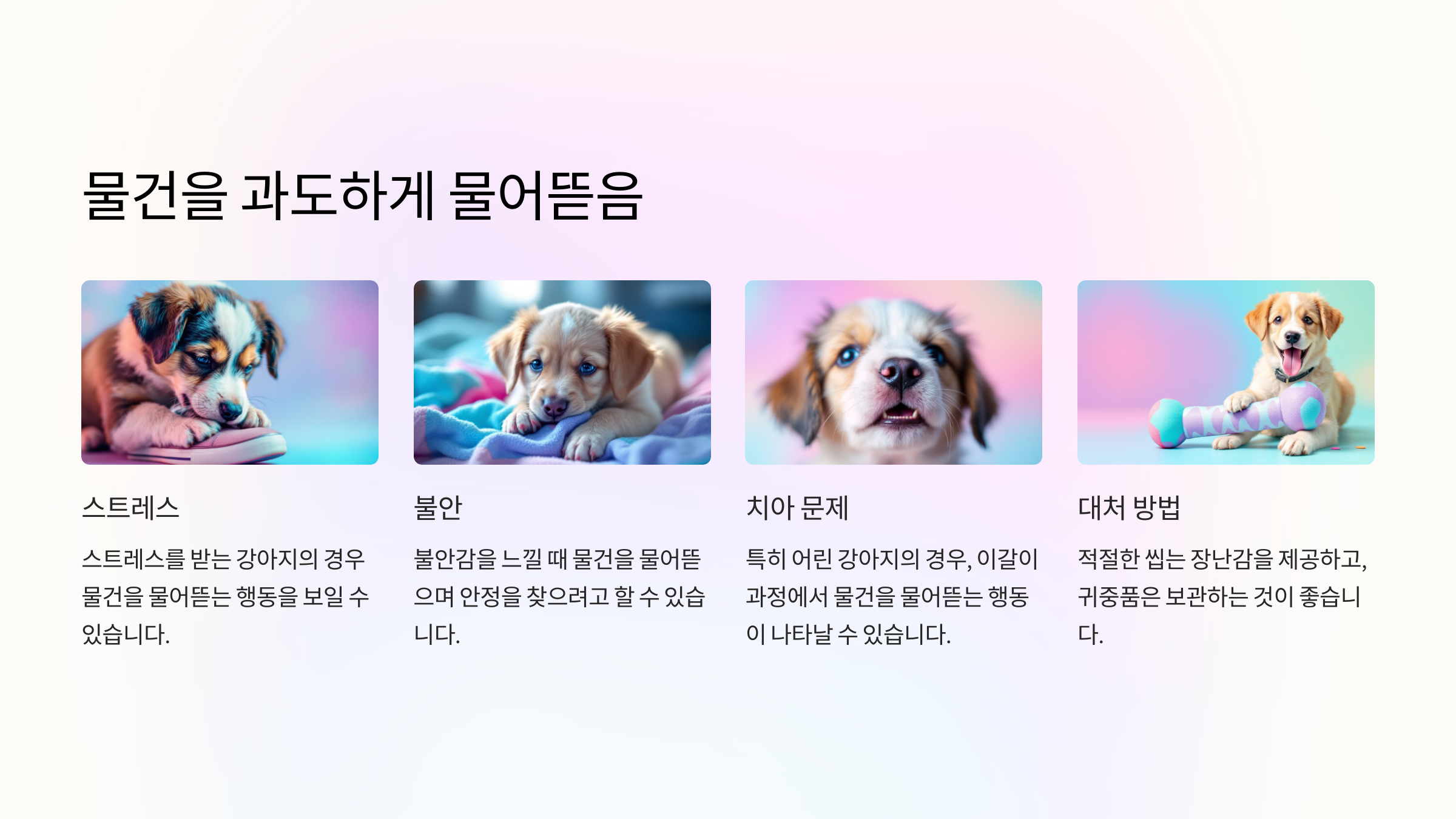 물건을 과도하게 물어뜯음