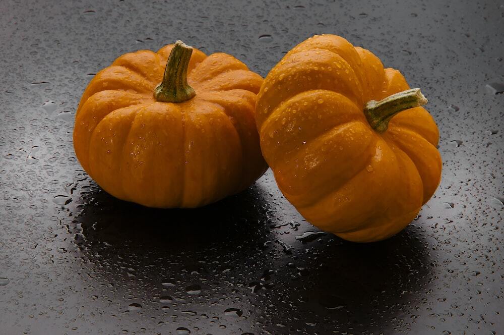 물기를 머금은 주황색 늙은 호박 두덩이