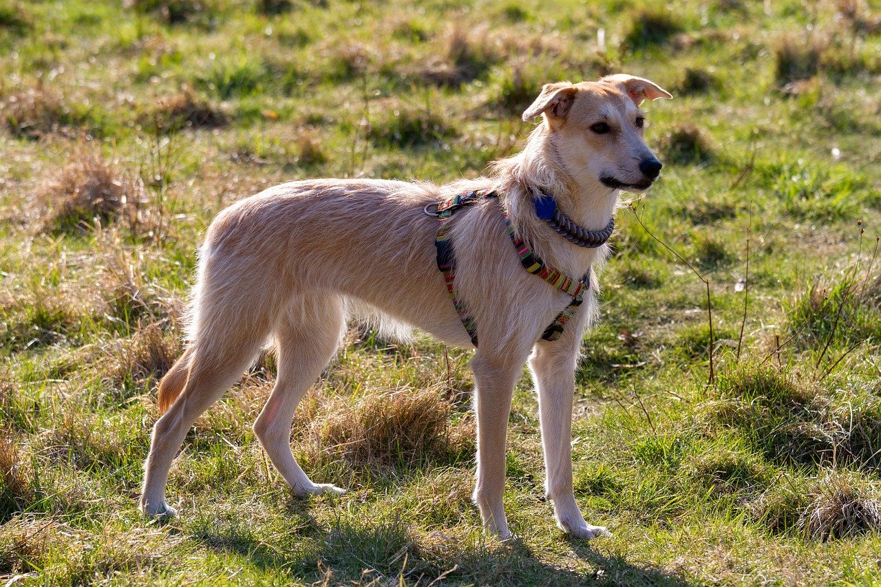 정부와 지자체의 대응