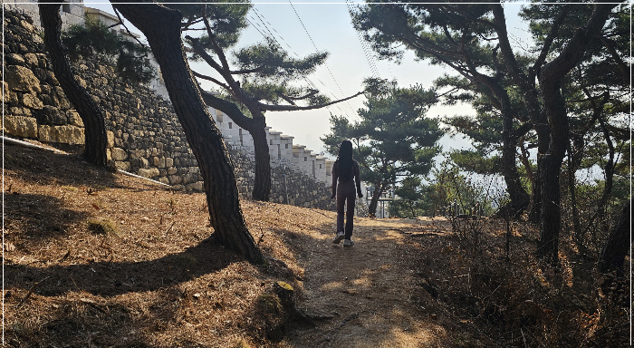 다시 정상을 향해3