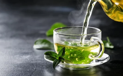 녹차/출처:어도비스톡