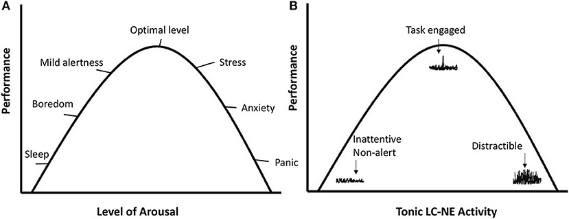 생산성이 폭발하는 시간대의 뇌 상태