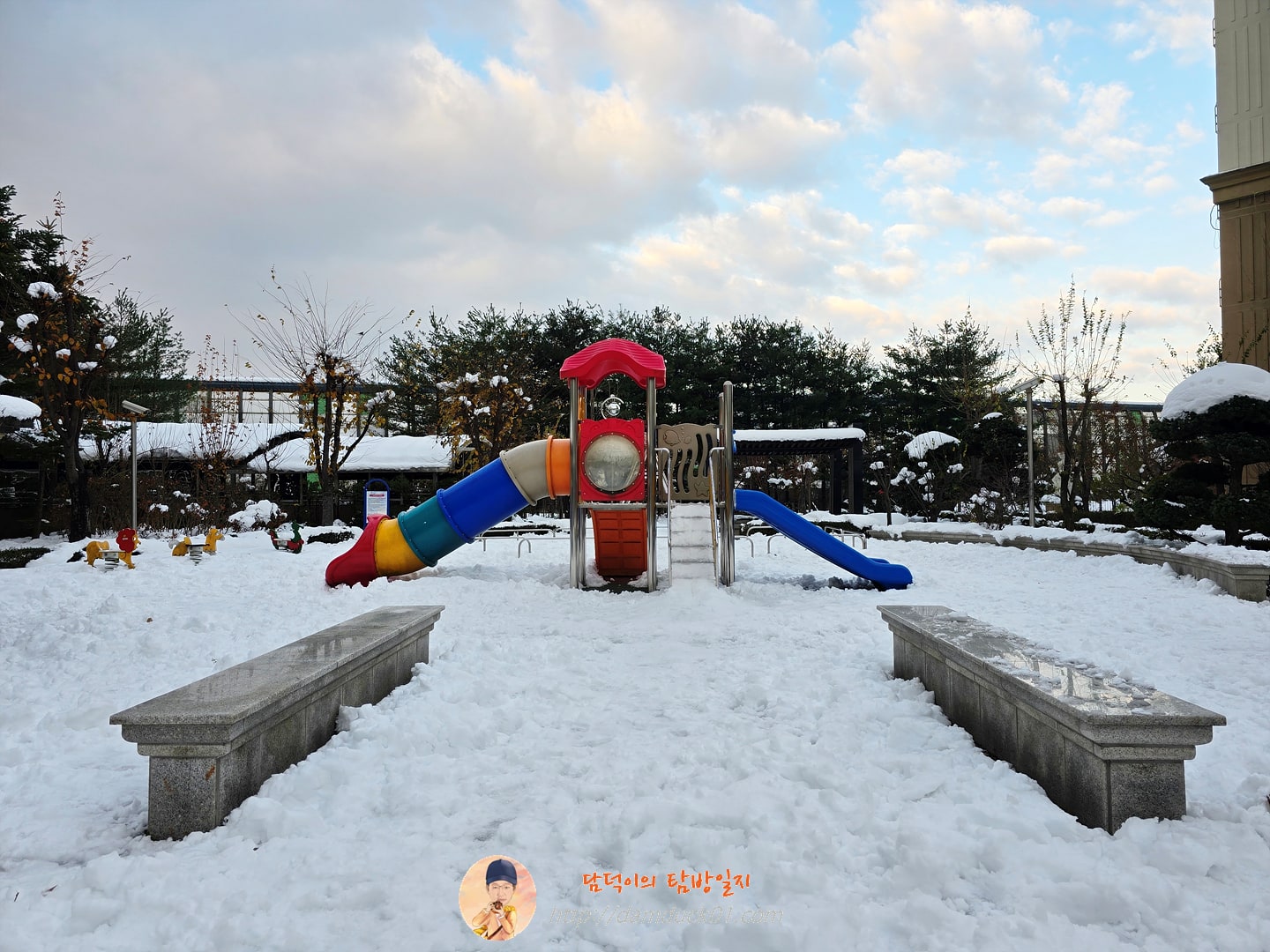 습설 (2024년 11월 29일)