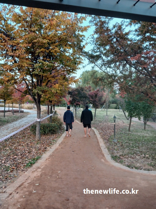 겨울 낙엽이 남은 황톳(토)길에서 두 명의 남성이 맨발로 걷는 모습