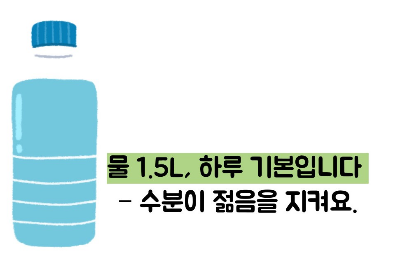 저속노화 식단