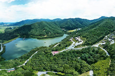 보성 다향대축제 보성 녹차축제