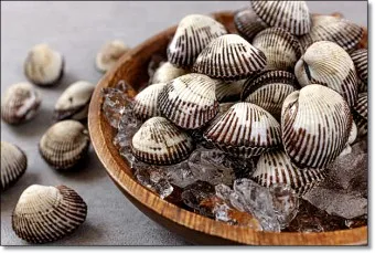 꼬막 무침 맛있게 삶는법_6