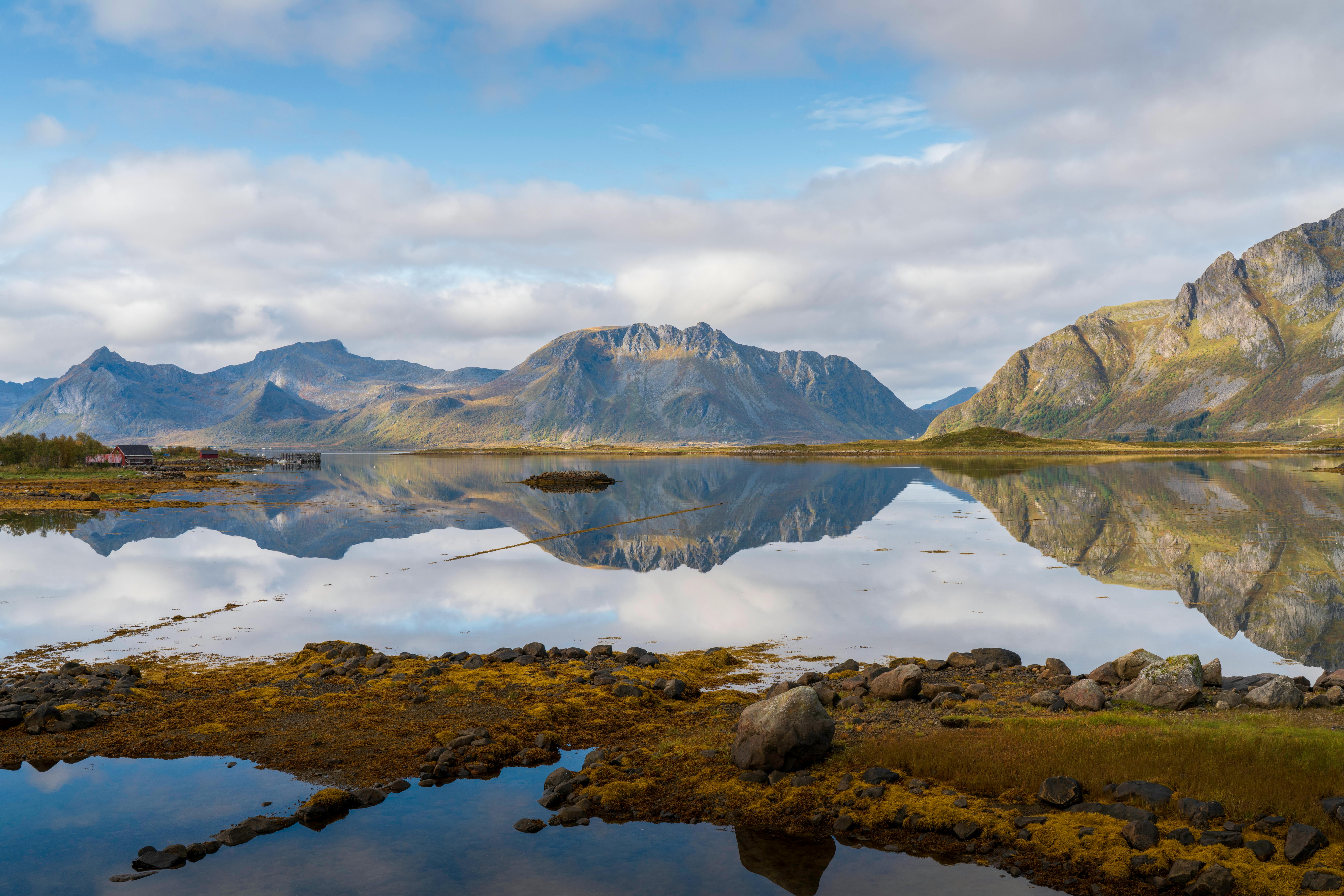 맑은 물에 빠진 강아지를 구하는을 상징하는 이미지
