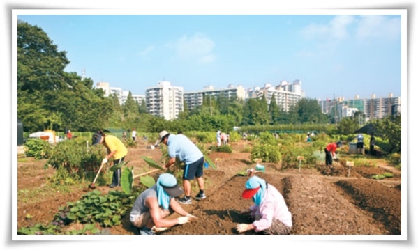 "9월에 심기 좋은 텃밭 작물" 풍성한 수확을 위한 최고의 작물 선택과 관리 비법!