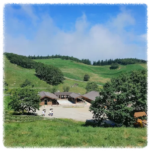 대관령 양떼목장