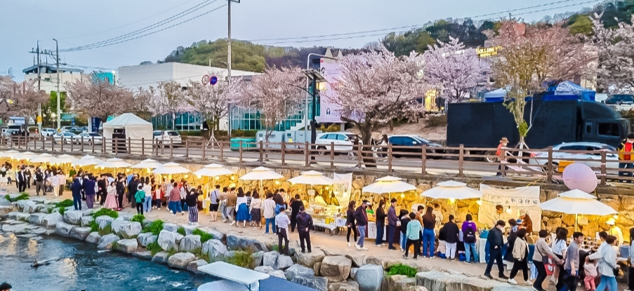 2024 벚꽃 개화시기 및 전국 벚꽃 명소 알아보기