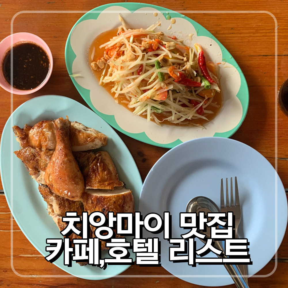 친구들과 함께 떠나는 갱년기여행 치앙마이 맛집 카페 호텔 리스트