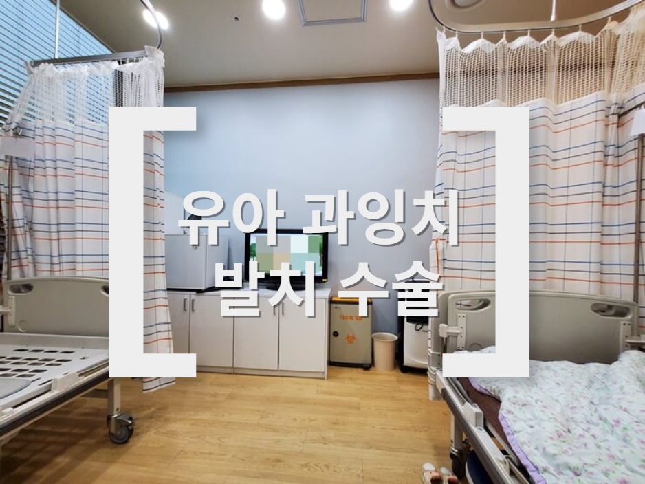 죽전 단국대치과병원 입원실