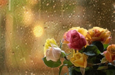 장마철 예상 기간