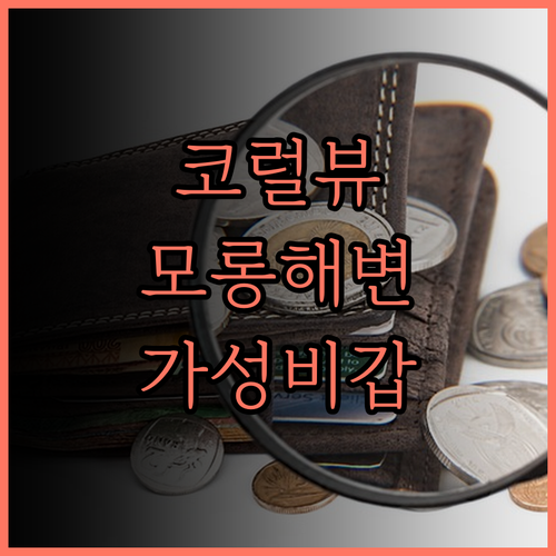 코럴뷰 비치 앤드 다이브 리조트.. 