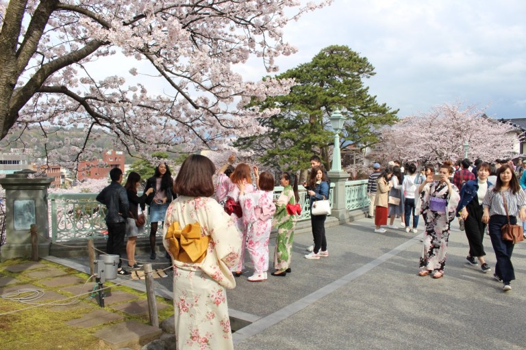 2024 일본벚꽃 개화시기 만개 예상일 : 오사카&amp;#44; 후쿠오카&amp;#44; 나고야 여행코스