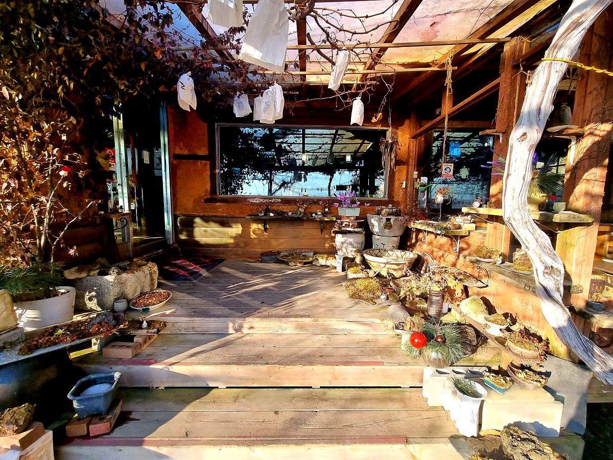 인천 강화도&amp;#44; 석모도 맛집 보문사 근처 토담마을: 입맛 도는 밴댕이회무침