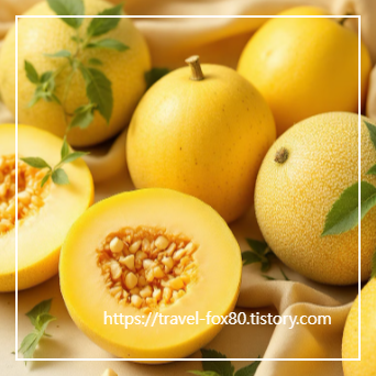 참외 꿈해몽 썸네일