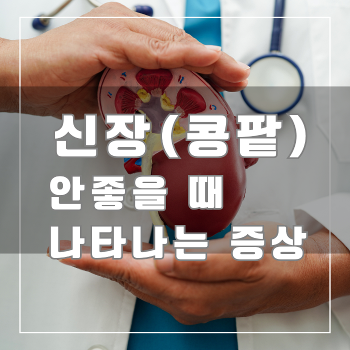 신장이 안 좋을 때 나타나는 증상