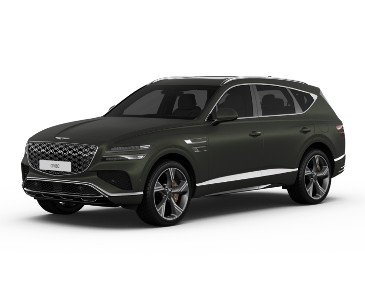 제네시스 gv80.