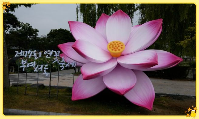 7월 국내 꽃축제 총정리