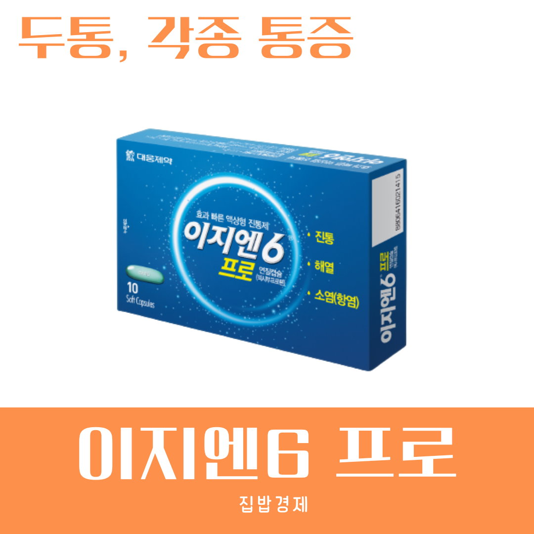 이지엔6 프로