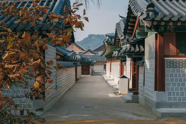 경복궁 야간개장 예매 방법 / 경복궁 별빛야행 행사안내