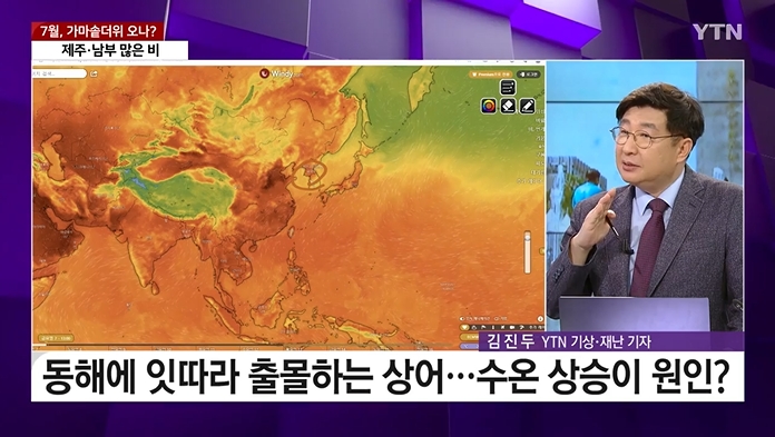 동해에 잇따라 출몰하는 상어... 수온 상승이 원인?