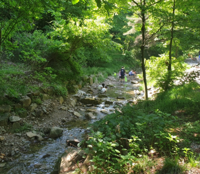 경기-용인-은이골가족캠핑장-사진-입니다.
