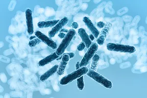 입냄새-제거방법